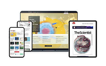 Sino Biological and Ainnocence Partner to Offer Next-Generation Antibody Development CRO Services